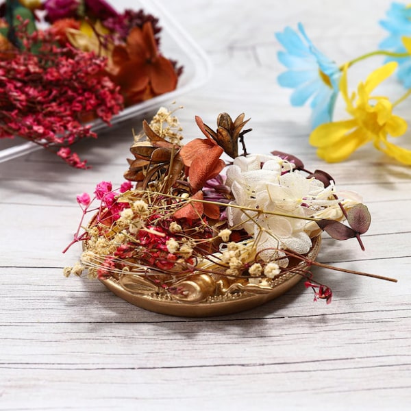 Dried Flowers Etsy Australia