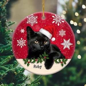 black cat ornament ୨୧* 黒猫さん クリップ （b）