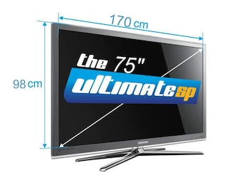 TV Screen Protector Shield for 75" TV