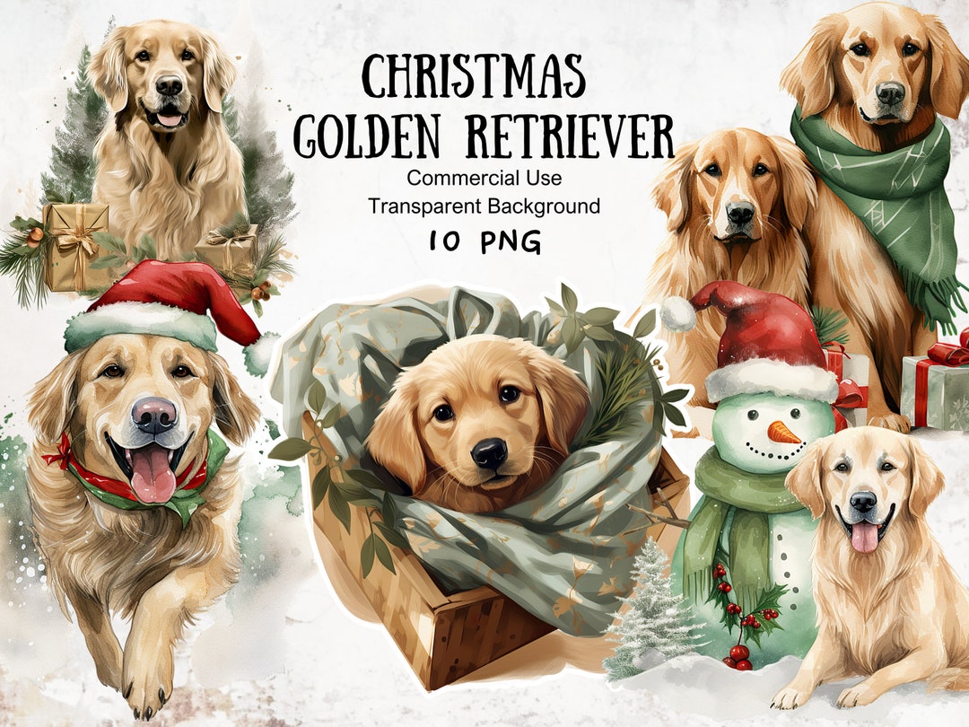 Christmas Golden Retriever Sage Green Watercolor Clipart (PNG) - Etsy