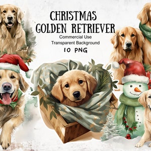 Sage Green Christmas Golden Retriever, aquarela clipart PNG, arte festiva para animais de estimação, clipart com tema de férias para animais de estimação, gráficos de Natal para amantes de animais de estimação