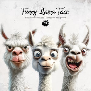 Lustige Lama Gesicht Clipart transparente PNG Grafiken schrullig Tier Illustrationen wunderliche Lamas Sofort Download