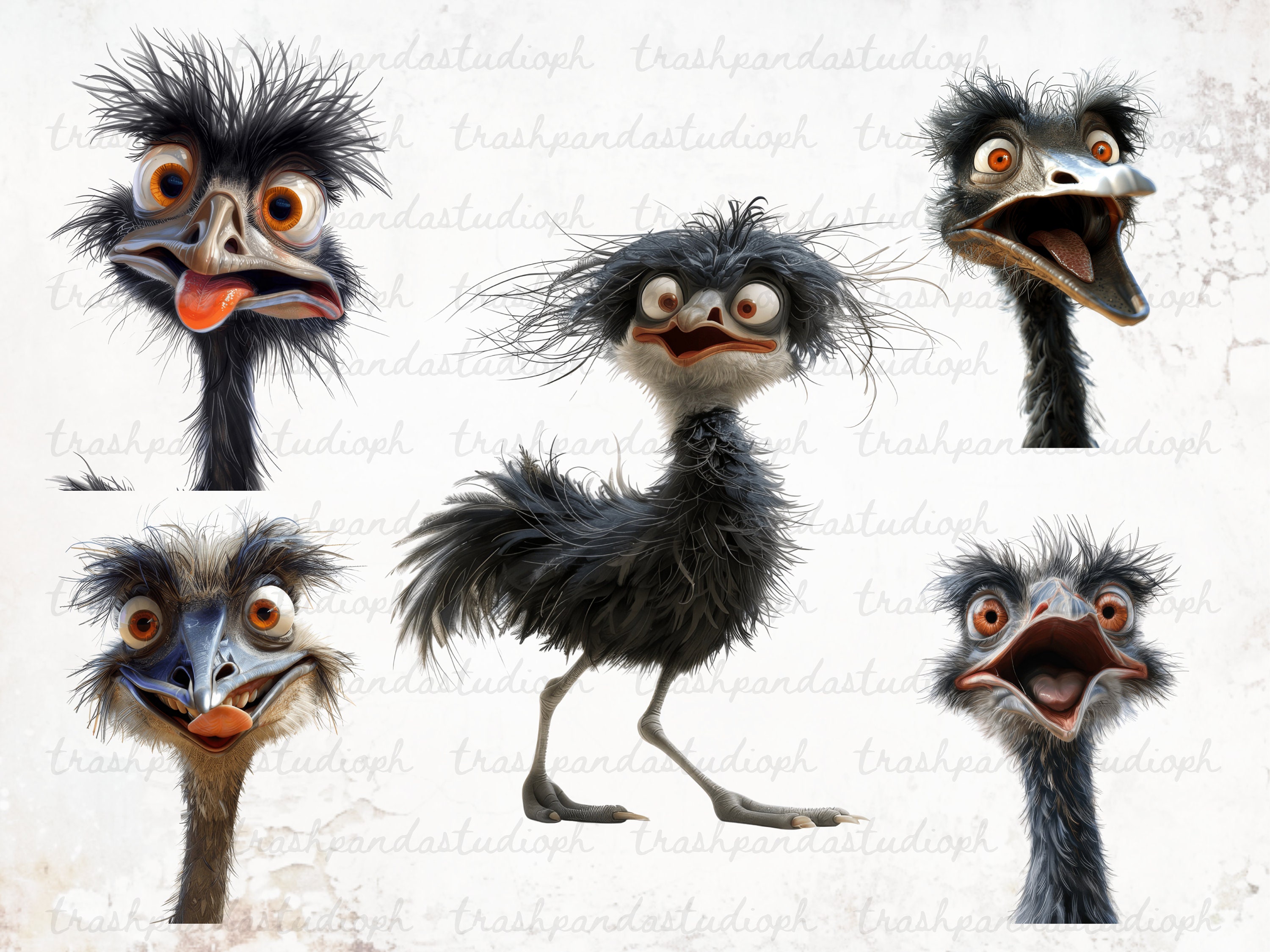 Emu Graphics Quirky Emu Clipart Bundle: Funny Cartoon PNG Graphics (digital Download ...