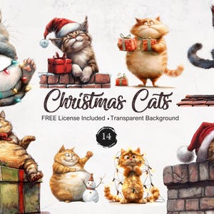 Schrullig Weihnachtskatze Clipart Skurril Lustige Tiere Dumme Urlaub Katze PNG Illustration Grafik Sublimation
