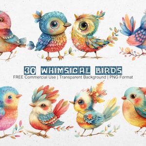 30 wunderliche Vögel Clipart Mega Bundle süße Tier Grafiken mit transparentem Hintergrund PNG Download