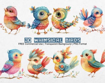Paquete gigante de 30 imágenes prediseñadas de pájaros caprichosos. Gráficos de animales lindos con fondo transparente en formato PNG para descargar.