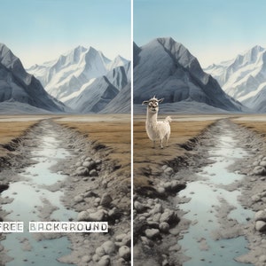 May include: A white llama stands in a field with a stream running through it. The background features snow-capped mountains.