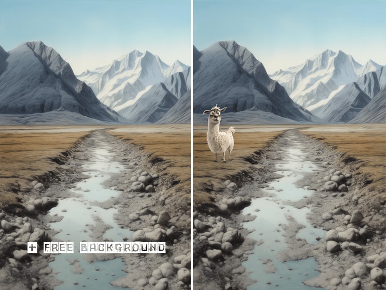 May include: A white llama stands in a field with a stream running through it. The background features snow-capped mountains.