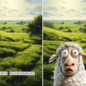 May include: A cartoon sheep with large, wide eyes and a surprised expression is looking directly at the camera. The sheep is in a field of green grass with a rolling hill in the background.