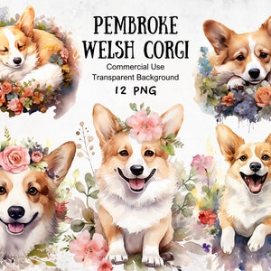 Pembroke Welsh Corgi, Clipart Corgi aquarelle, Floral Corgi, Clipart chien, Clipart animal de compagnie, aquarelle florale pour animaux de compagnie, graphiques d'anniversaire pour animaux de compagnie