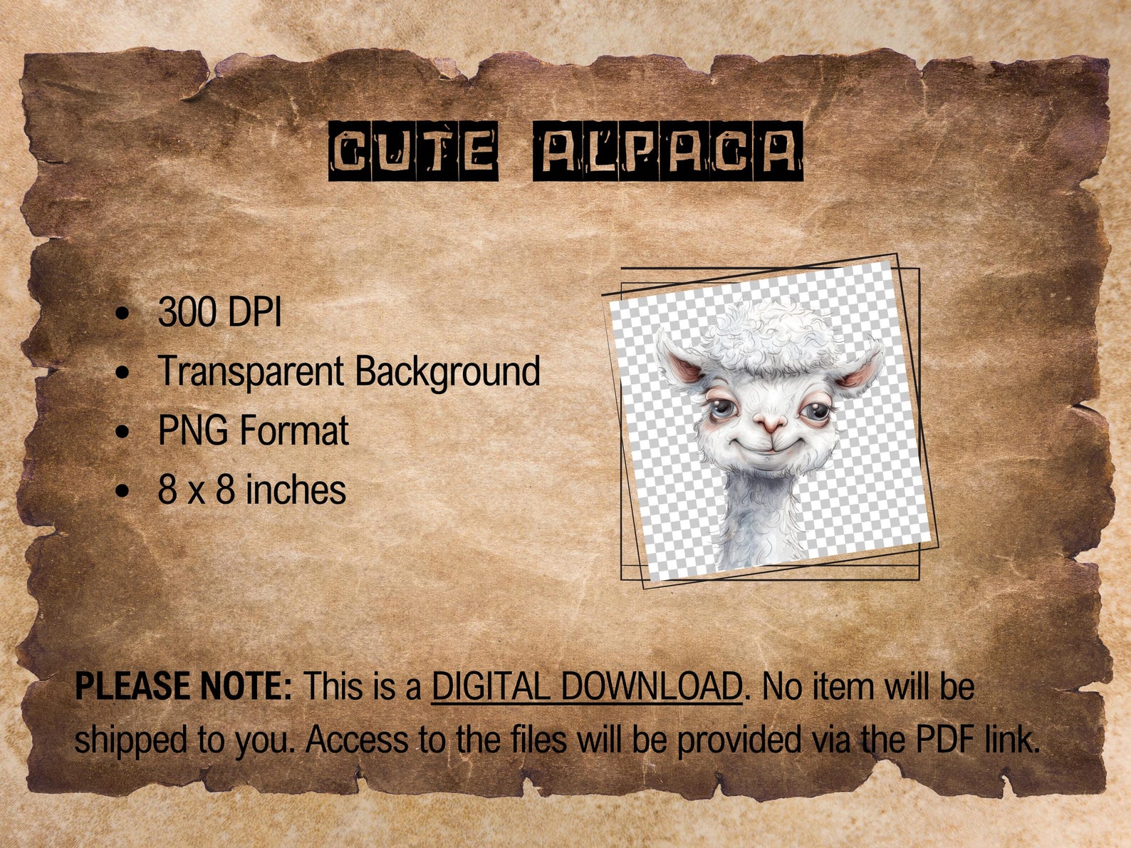 Alpaca Clipart Transparent Background Cute Alpaca Graphics for Animal ...