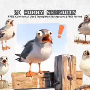 May include: A set of 20 cartoon seagull illustrations with various expressions. The seagulls are white with grey wings and have large, round eyes. The illustrations are in PNG format and have a transparent background.  FREE Commercial Use.