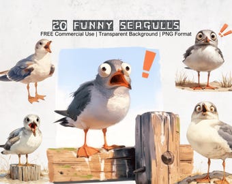 Lustige Möwen Clipart Printable Hilarious Vogel Sammlung in PNG-Format mit transparentem Hintergrund