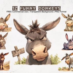 Funny Donkey Faces Clipart Bundle Hilarious Animal PNG Cartoon Graphics Collection with Transparent Background