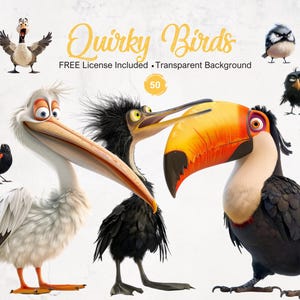 50 cliparts drôles d'oiseaux, graphiques d'animaux originaux PNG sur fond transparent Illustrations originales à téléchargement immédiat
