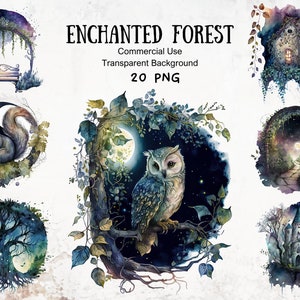 Enchanted forest aquarel clipartbundel, grillige boscollectie, mystieke bossen illustraties, dromerige bossen kunst, bosdieren