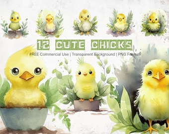 Cute Chicks Clipart Whimsical Chicken Illustrations Watercolor Graphics with Transparent Background