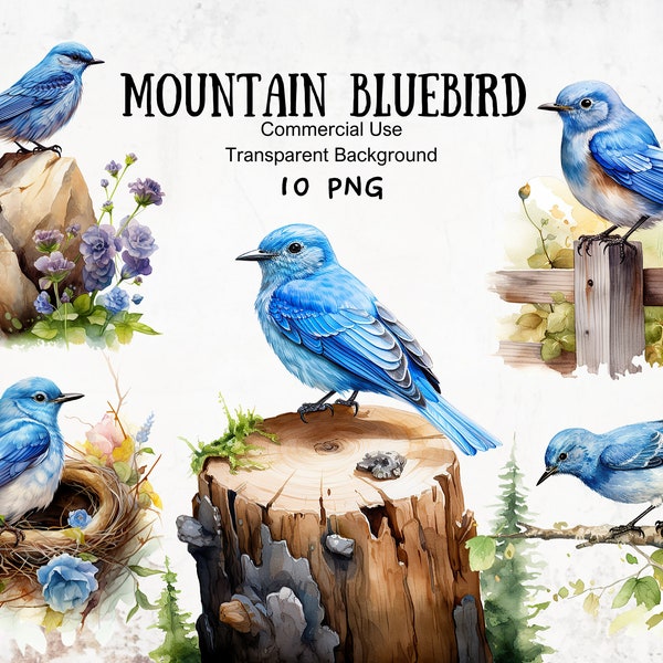 Mountain Bluebird Clipart, Watercolor Blue Bird Clipart, Digital Download, Junk Journals, Sublimation POD Blue Bird ClipArt,Digital Graphics