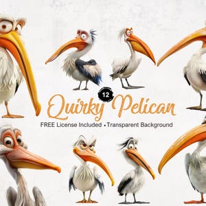 Schrullige Pelikan Clipart lustige Vogel Grafiken mit transparentem Hintergrund Sofort Download