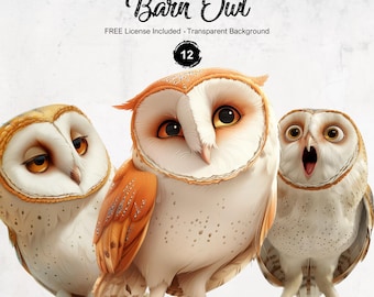 Barn Owl Clipart Bird Whimsical Illustrations Quirky Birds PNG Instant Download Funny Animal Graphics