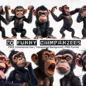 Funny Chimpanzee PNG Clipart, Hilarious Chimpanzee Face and Movements, Chimpanzee Cartoon Graphics, Quirky Animal Faces, Instant Download