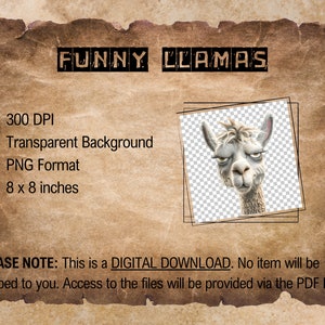 May include: A digital download of a funny llama illustration with a transparent background. The image is 300 DPI and 8 x 8 inches.