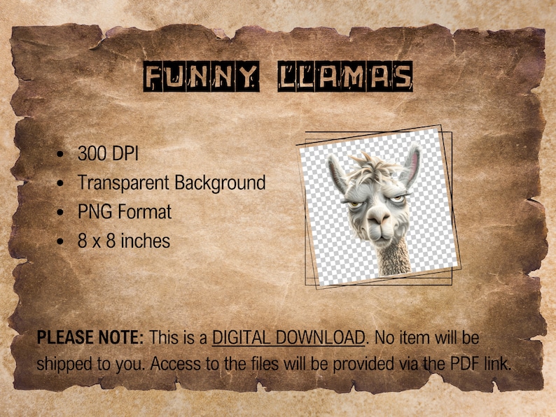 May include: A digital download of a funny llama illustration with a transparent background. The image is 300 DPI and 8 x 8 inches.