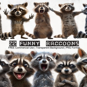 Paquete de imágenes prediseñadas de mapaches divertidos y extravagantes, gráficos de Trashpanda, expresiones divertidas de un mapache, fondo transparente, gráficos divertidos de animales