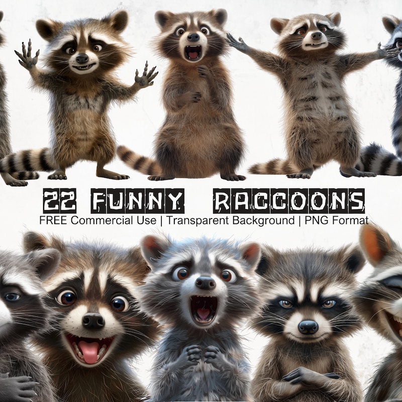Funny Raccoon Clip Art - Etsy UK