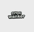 Croc Wanker, Croc Charms, Checkered Charms, Adult Charm, Kids Shoe, Decorative Shoe Charms for Crocs, Croc Charm, Shoe Charm, Jibbitz product logo