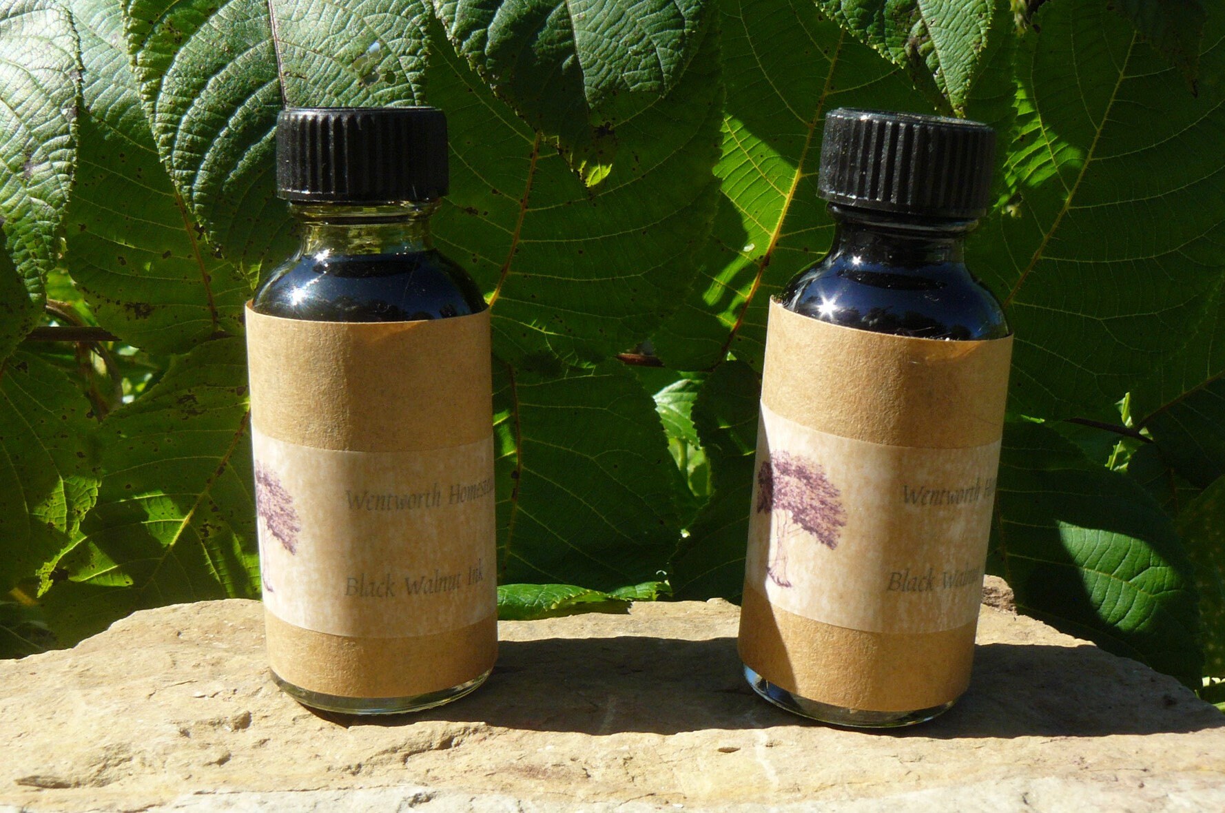 Black Walnut Ink Etsy