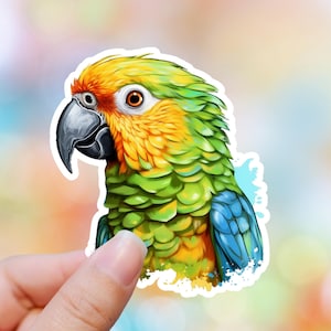 Parrot Sticker Bird Sticker Laptop Sticker Water Bottle Sticker Colorful Sticker Macaw Exotic Sticker Colorful Bird Pirate Bird