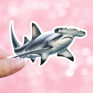 Shark Sticker Sea Life Ocean Sticker Beach Sticker Beach life Ocean Life Ocean Sticker Sea Sticker Water Bottle Sticker Laptop Sticker