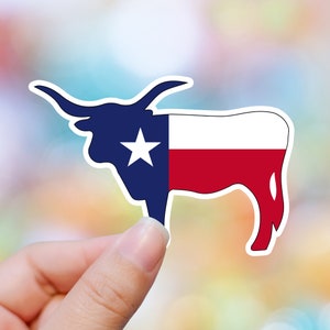 Sticker Texas, sticker État USA, sticker fête de l'indépendance, cadeaux 4 juillet, sticker western, sticker désert, sticker Dallas, sticker patriotique