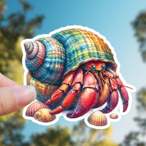 Crab Sticker, Ocean Decals, Summer Style Stickers, Waterproof Decal, Sea Life Sticker, Beach Sticker, Travel Stickers, Vacation Sticker