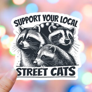 On est tous fous, ce n'est pas une compétition Sticker, Sticker raton laveur, Stickers rigolos, Stickers bouteille d'eau sarcastique, Stickers mèmes pour ordinateur portable