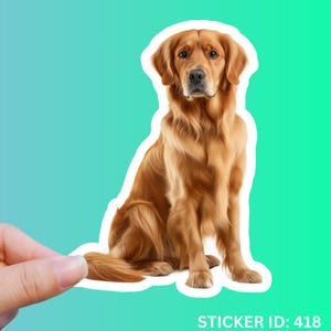 Golden Retriever Sticker USA Sticker Dogs Gifts for Dad Golden Retriever Funny Sticker Silly Dog Laptop Sticker Water Bottle Sticker Dog