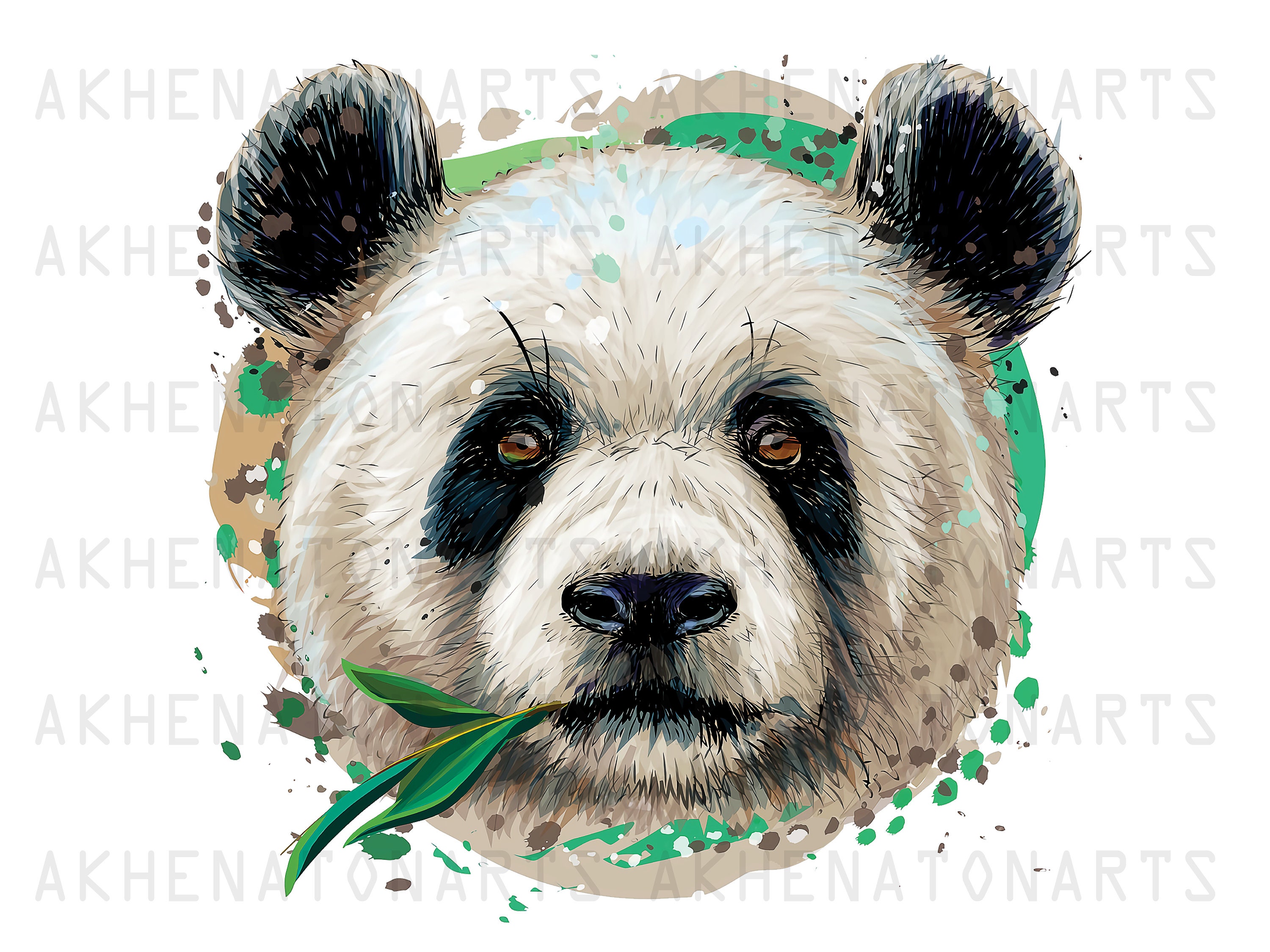 Panda head 2024