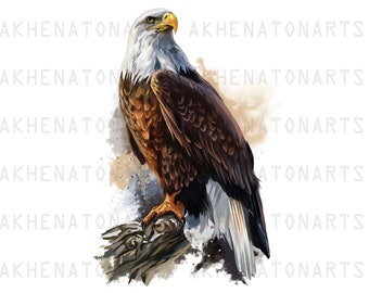 Bald Eagle Watercolor Png , Eagle Clipart ,  Eagle Sublimation Design , Digital Download