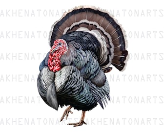 Turkey Png , Turkey Clipart , Turkey Sublimation Design , Turkey Portrait , Hand Drawn Turkey , Digital Download , Instant Download