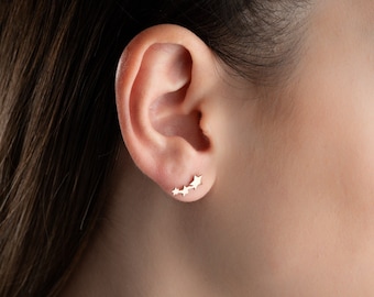 May include: A close-up of an ear with a gold-coloured earring. The earring has three graduated star shapes, forming a celestial design. The earring is set against the ear and the person's skin, with a blurred background.