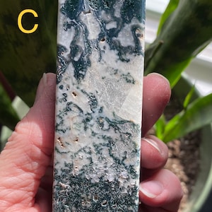 May include: A green and white moss agate crystal point. The crystal is polished and has a natural, organic pattern.