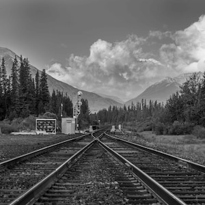 May include: Black and white photo of a railroad track splitting into two paths, with a mountain range in the background and trees on either side of the tracks.