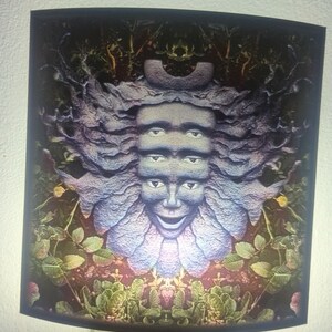 Shpongle nite light