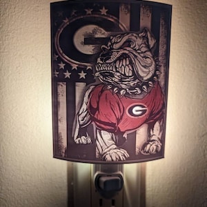 American Flag Georgia Bulldog Nightlight