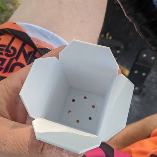 Premium Chinese Takeout Box Planter succulent Etsy