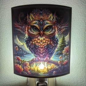 HOot owl  nightlight