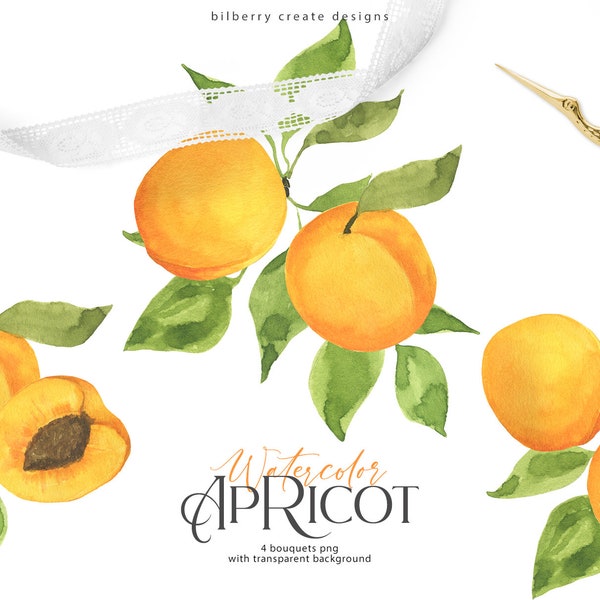 Watercolor Summer Clipart-Premade Bouquet-Premade Clipart- Apricot Clipart-Floral Clipart-Summer Bouquet-Fruit Bouquet-Bouquet Clipart