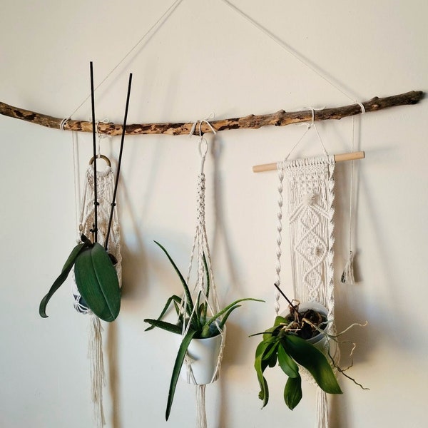 Suspension plante, porte-plante, cintre pour plante, en macramé, style bohême, boho