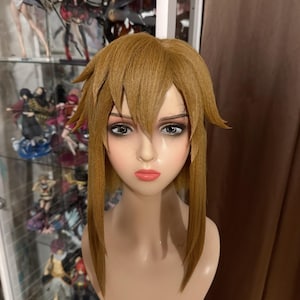 Link Botw wig
